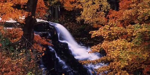 First Thursday Tour: Final Look: Ordinary Miracles