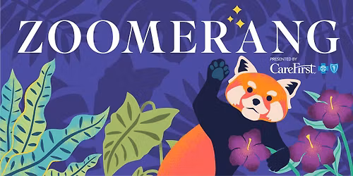 Zoomerang presented by CareFirst