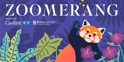 Zoomerang presented by CareFirst & Brown Advisory