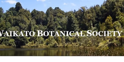 AGM and Night Talk: plants in Tongariro National Park and Whangamarino Wetland - Lucy Roberts.