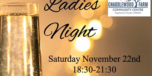 Ladies pamper and shopping evening 