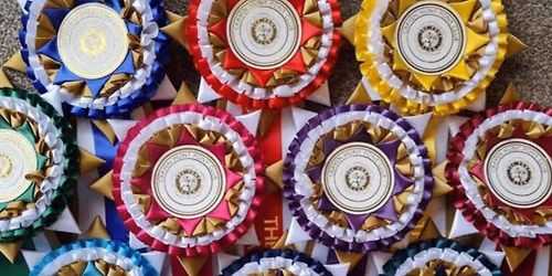 Craven PC 2026 Showjumping Show 