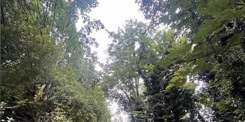 September Wood Care Session!!