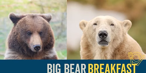 Big Bear Breakfast