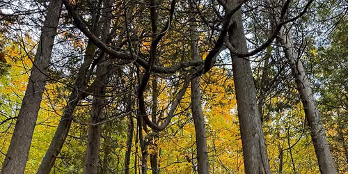 Exploring Wisconsin's Diverse Landscapes: From Glaciers to Great Lakes  