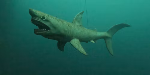 Niemieckie kamienio\u0142omy 