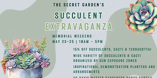 The Secret Garden's Succulent Extravaganza