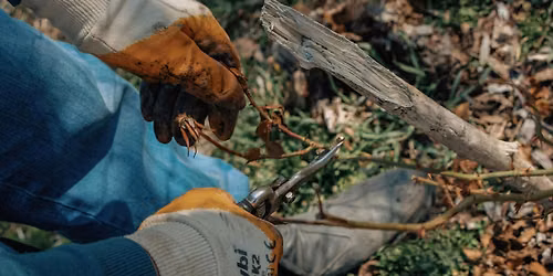 Stewardship S\u2019Tuesdays