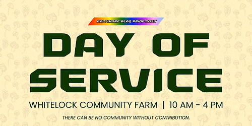 BLAQ Pride Weekend 2026 Day of Service