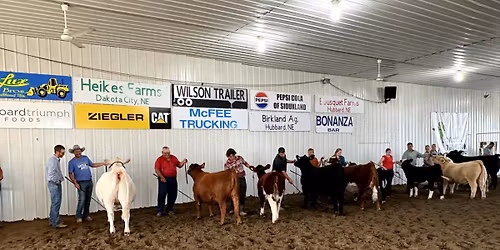 Open Jackpot Cattle Show