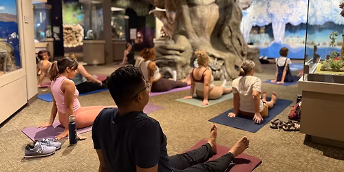 Yoga at the Museum