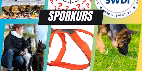 Sporkurs med Jessica \u00c5berg SWDI h\u00f8sten 2026