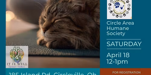 Purr & Pose Yoga Class