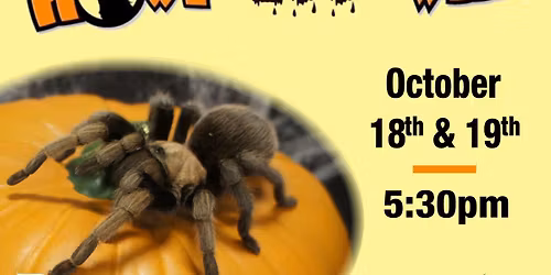 Peoria Chiefs at West Michigan Whitecaps at LMCU Ballpark