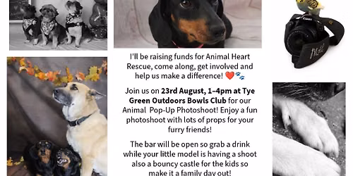 animal pop up photoshoot