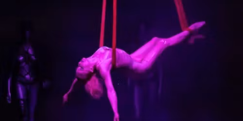 After Dark by Pink Puma - Miami