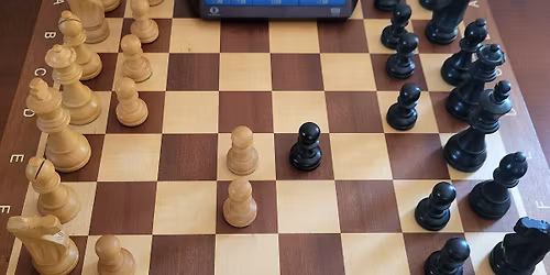 VI Mistrzostwa Polski Amator\u00f3w w Szachach B\u0142yskawicznych