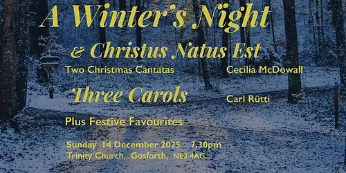 A Winters Night - Christmas with NCS