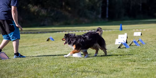 Dobbel Dobbel JanuarRally (Klasse 1 og 2)