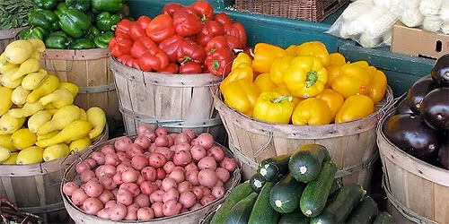 MAC Mini Grant Summit: Meet & Share!