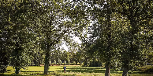 Dom Verdan Loop 2026