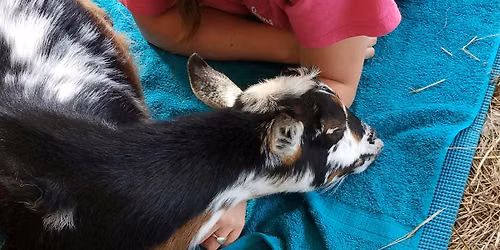 Jewelry + Meditation + Goat Snuggles