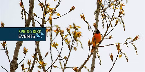Birding by Bike at Tommy Thompson Park