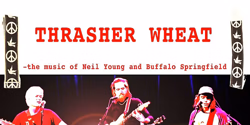 Thrasher Wheat at Progression Brewery