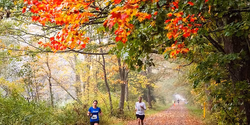 Autumn and Ales 5K, 10k and 1\/2 Marathon 