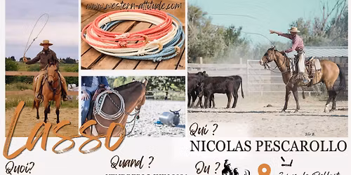 Workshop : lasso