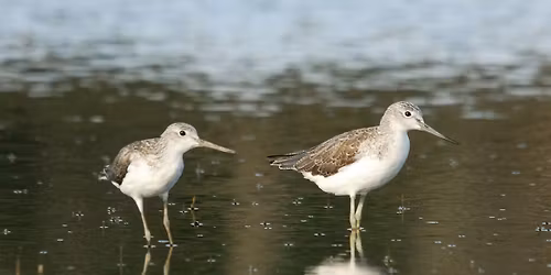 Len Howard Conservation Park - morning excursion