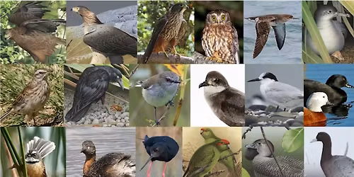 The Past is Key to the Present