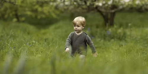 Nature Tots - Woolley Firs, Maidenhead, June\/July Monday session