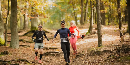 Grand Prix Dziewiczej G\u00f3ry w Biegach G\u00f3rskich