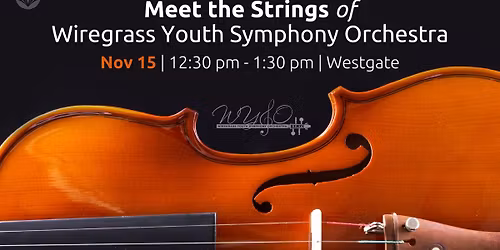 Meet the Strings of Wiregrass Youth Symphony Orchestra