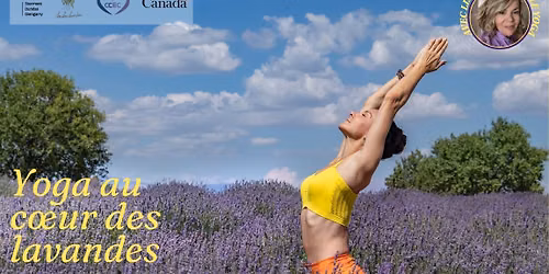 Yoga au coeur des lavandes