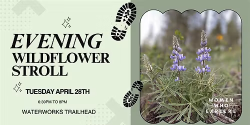 WWE Montana- Evening wildflower stroll in Missoula