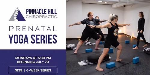 Prenatal Yoga Series