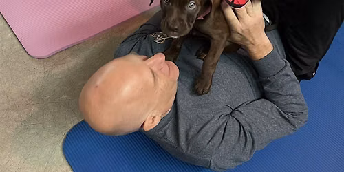Rescue Puppy Yoga Halloween - Jackalope Brewing Co.