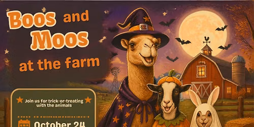 Boos & Moos at the farm