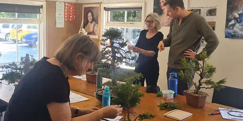 Bonsai Introduction Workshop