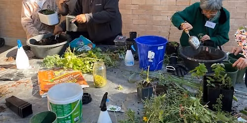Healthy Edible Gardening Series: Planning for Spring