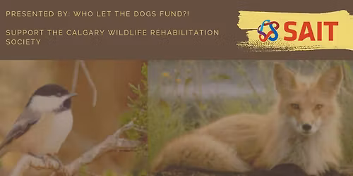 INTO THE WILD BINGO NIGHT in support of the CALGARY WILDLIFE REHAB SOCIETY