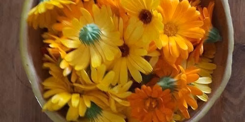 Natural Dye Workshop with Jamie Kraus