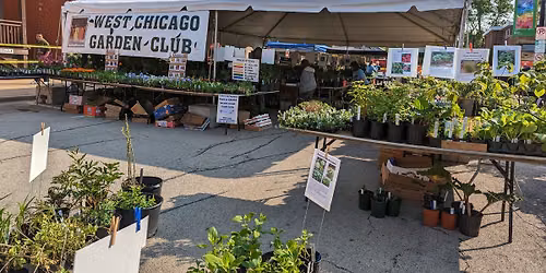West Chicago Garden Club Plant Sale