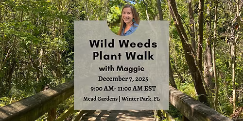 Wild Weeds Plant Walk at Mead Garden with Maggie- December 7, 2025