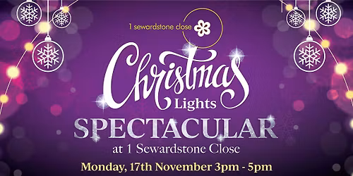 Christmas Lights Spectacular at 1 Sewardstone Close