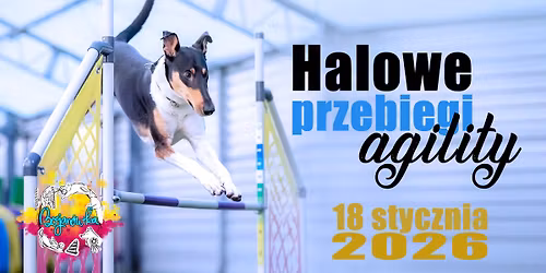 Halowe treningowe przebiegi agility 2025\/26 - stycze\u0144