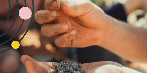 Workshop: Vi g\u00f6r fr\u00f6bomber och v\u00e4ver i Kreativa verkstan