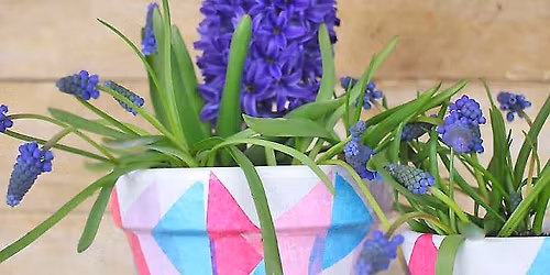 Paint and Plant